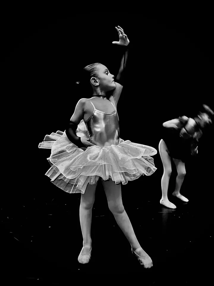 La Dansa Estudi — Baile en Lleida