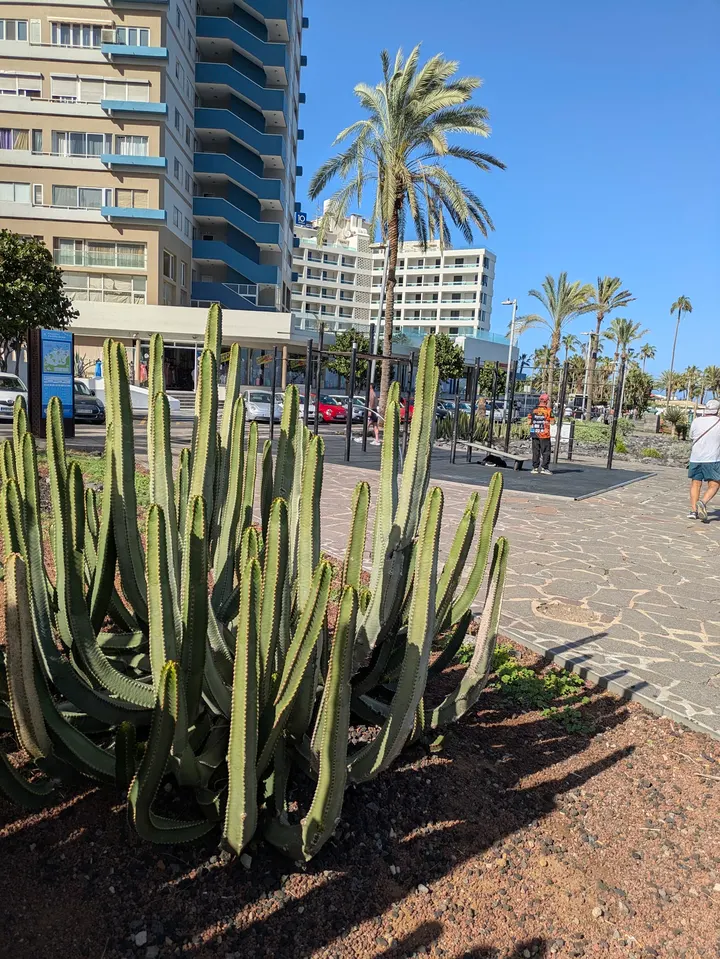 Parque de Calistenia "Playa Martianez" — Calisthenics en El Tope, Puerto de la Cruz