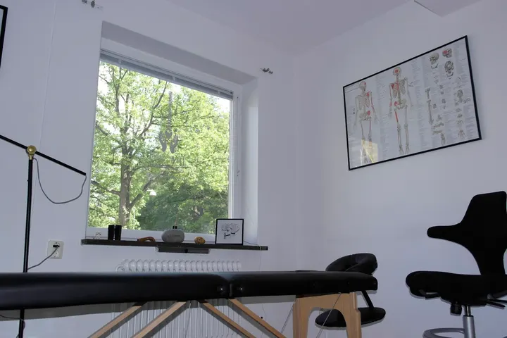 Lafitteness Naprapati — pt-studio i Solna, Stockholm — 2