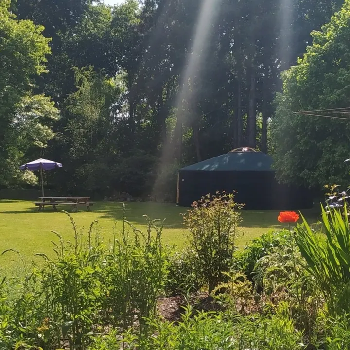 Ikigai Yoga — yoga-studio in Binderen, Helmond — 2