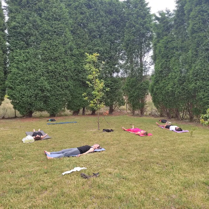 VINYASA Yoga — yoga-studio en El Centro, Gijón — 2