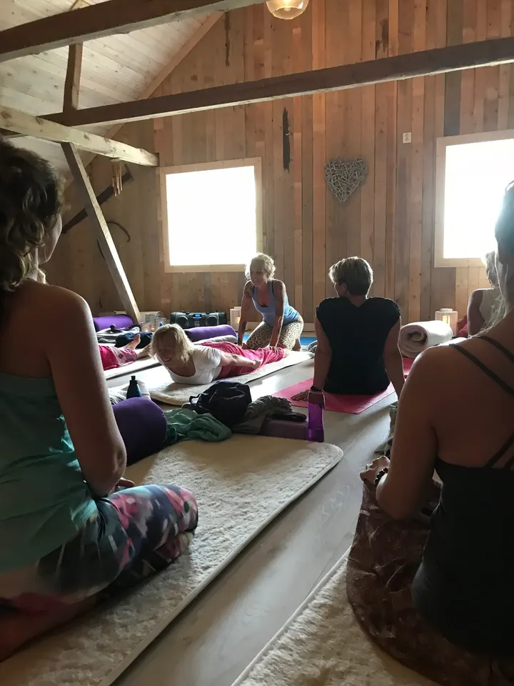 Vimoha Yoga Pernilla Löfstedt — yoga-studio i TØNSBERG — 4