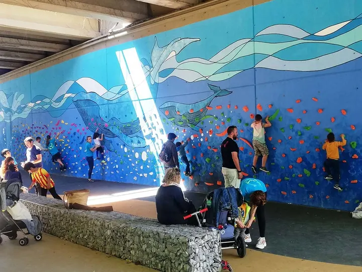 GECKO WALLS Rocódromos, Elementos de Juego, Murales Decorativos — Escalada en Mira-sol, Sant Cugat del Vallès