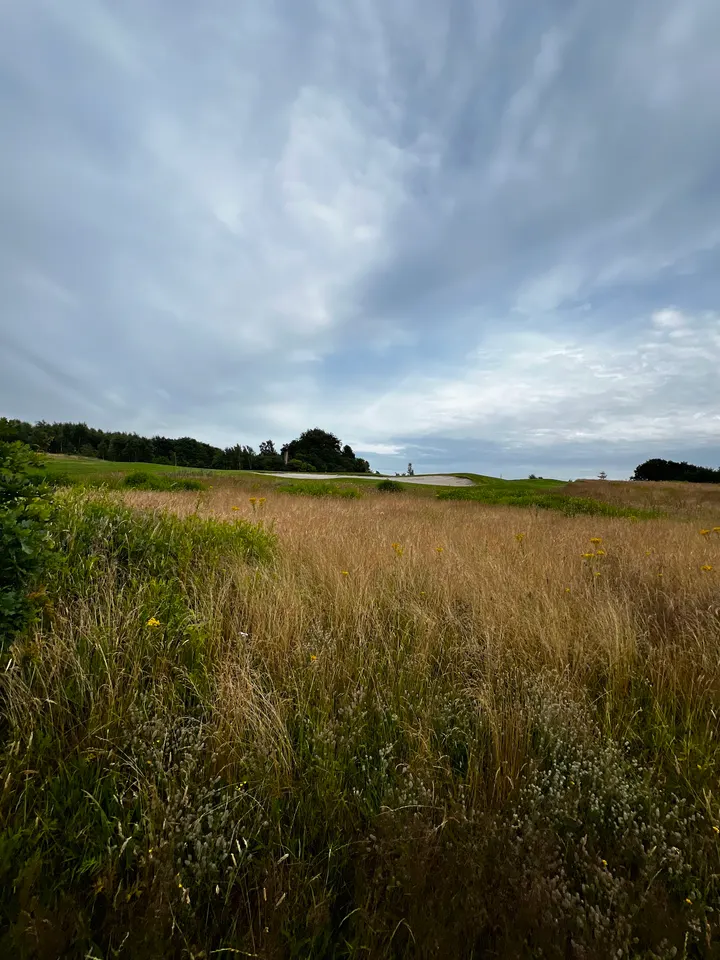Trolden - MTB spor Gjern — træningsstudio i Gjern — 2