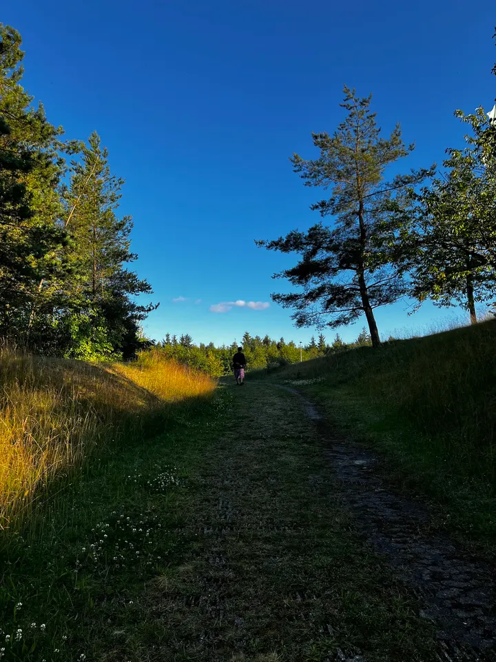Trolden - MTB spor Gjern — træningsstudio i Gjern — 3