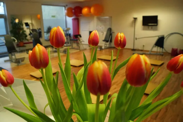 Charisma aktiv Fitness für Frauen — fitnessstudio in Bretzenheim, Mainz — 3