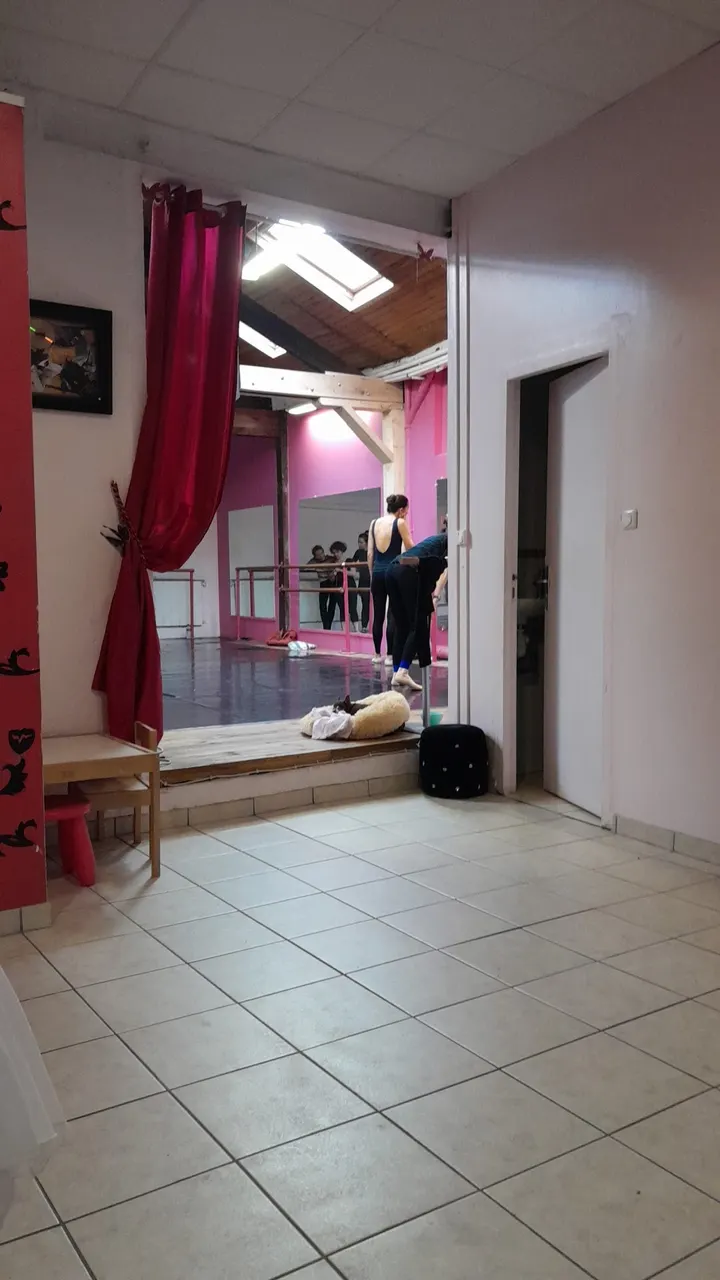 Jaunet Pascale — danse-studio à Bordeaux — 3