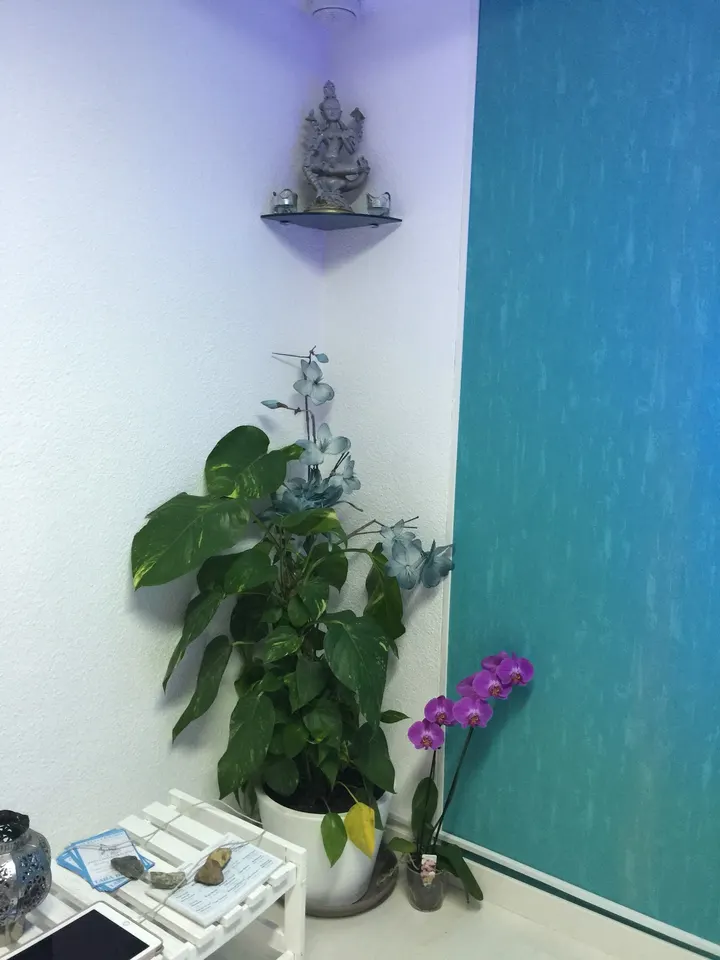 Tara Blanca — yoga-studio en Madrid — 3