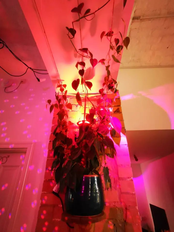 Urban Healing Unit — wellness-studio in Plänterwald, Berlin — 2