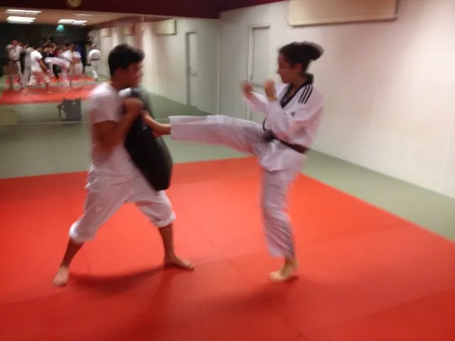 Taekwondo Twente — vechtsport-studio in Enschede — 2