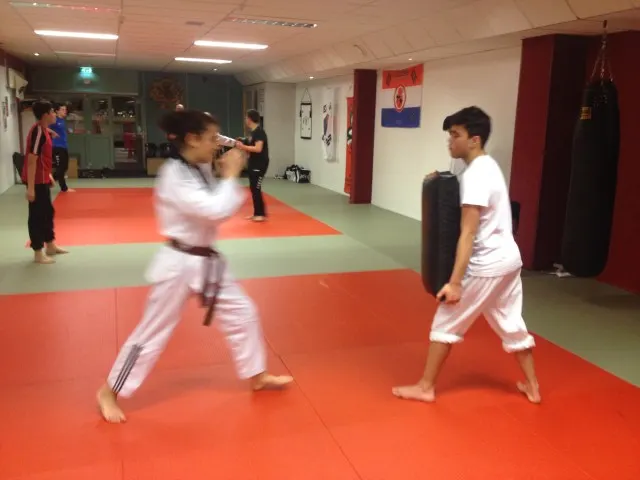 Taekwondo Twente — vechtsport-studio in Enschede — 3