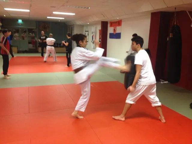 Taekwondo Twente — vechtsport-studio in Enschede — 3