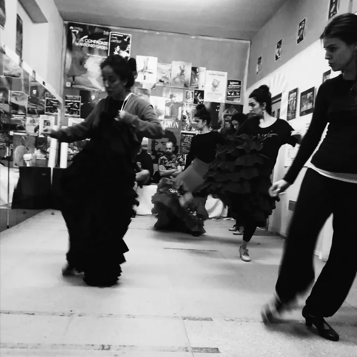 Studio Flamenco Marion Chabassier — danse-studio aux Émailleurs, Limoges — 2