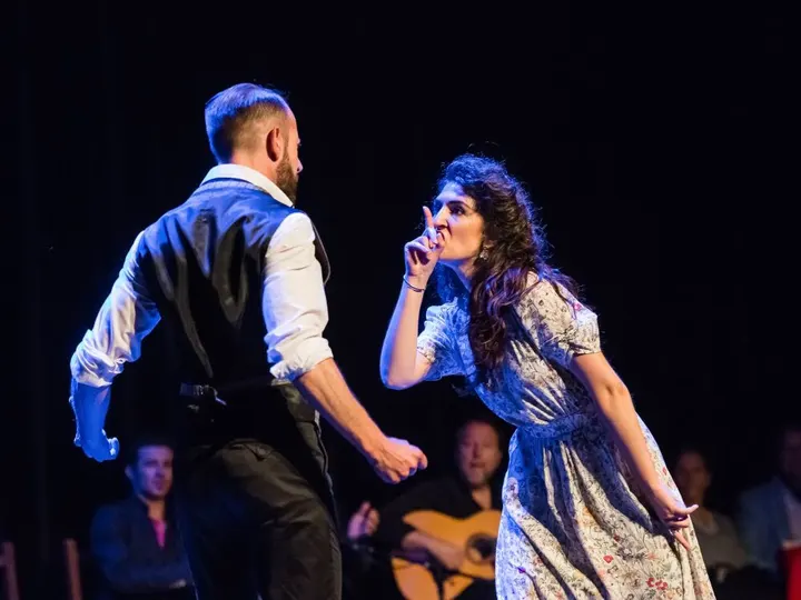 Studio Flamenco Marion Chabassier — danse-studio à Limoges — 4