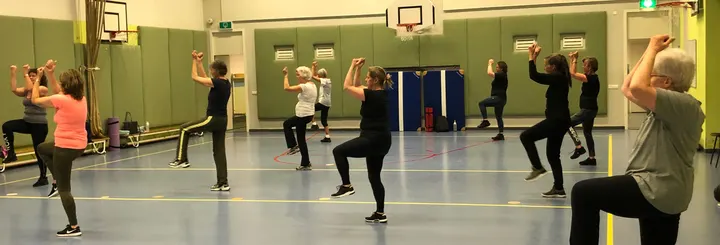 WZK Dance en Aerobics — dans-studio in Dorp, Wassenaar — 2