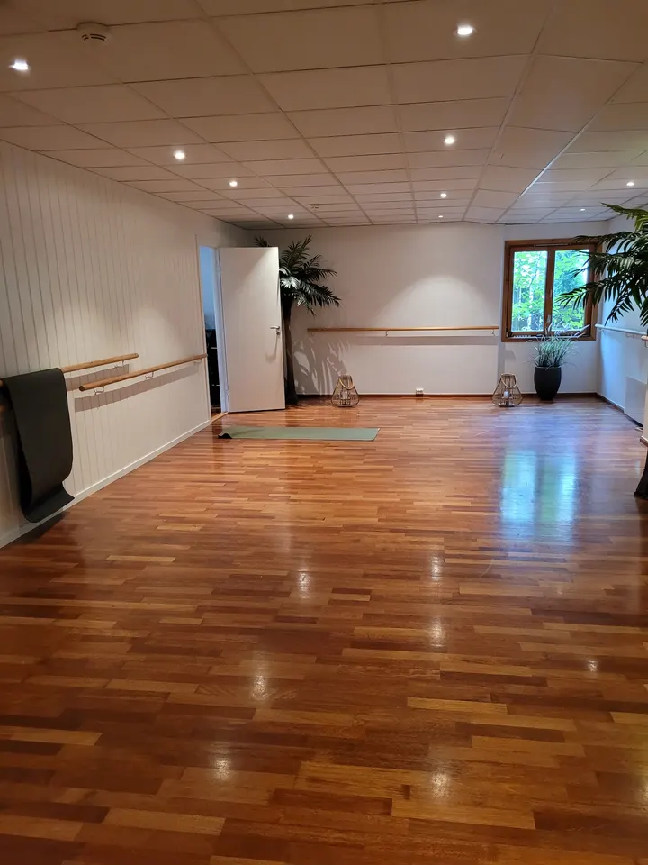 Nimasana Yoga Ly Ung — yoga-studio i Oslo — 3