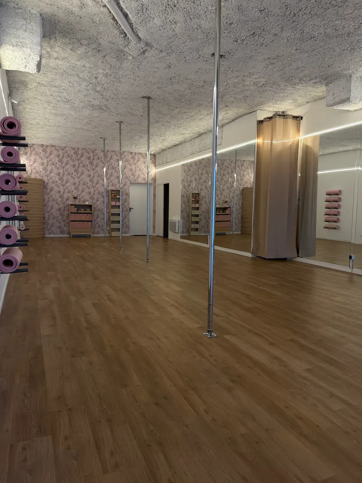 PoleVita Studio — danse-studio à Sainte-Geneviève-des-Bois, Paris — 2