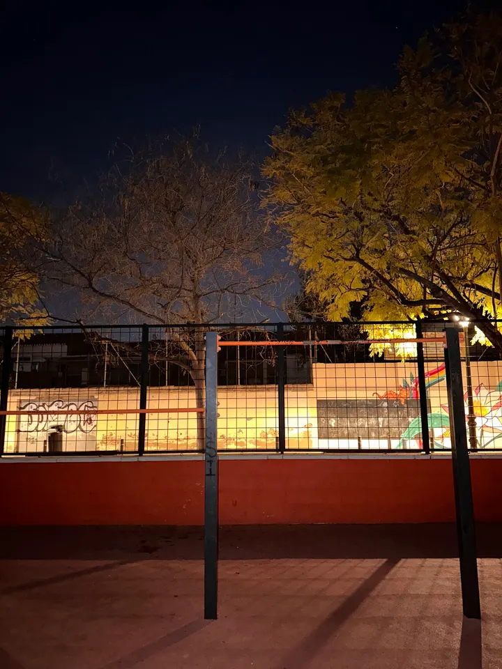 Parque de barras - calistenia "SON GOTEN" — calisthenics-studio en Campanar, Valencia — 3