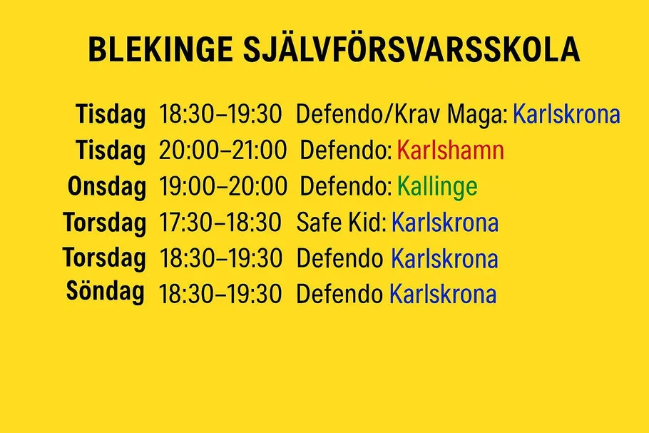Blekinge Självförsvarsskola — kampsport-studio i Karlskrona — 2