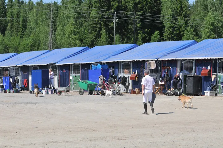 Ratsastuskeskus ILO — Kamppailulajit – Sorsasalo, Kuopio