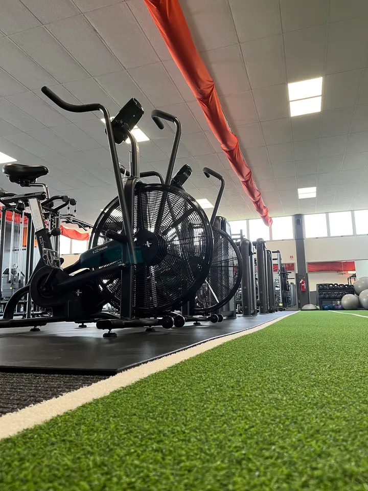 LevelUP - Health & Fitness Lab/Martial Arts — arti marziali-studio a Castel d'Ario — 5