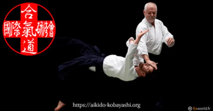 Aikido ILAM — arts martiaux-studio à Lille — 3