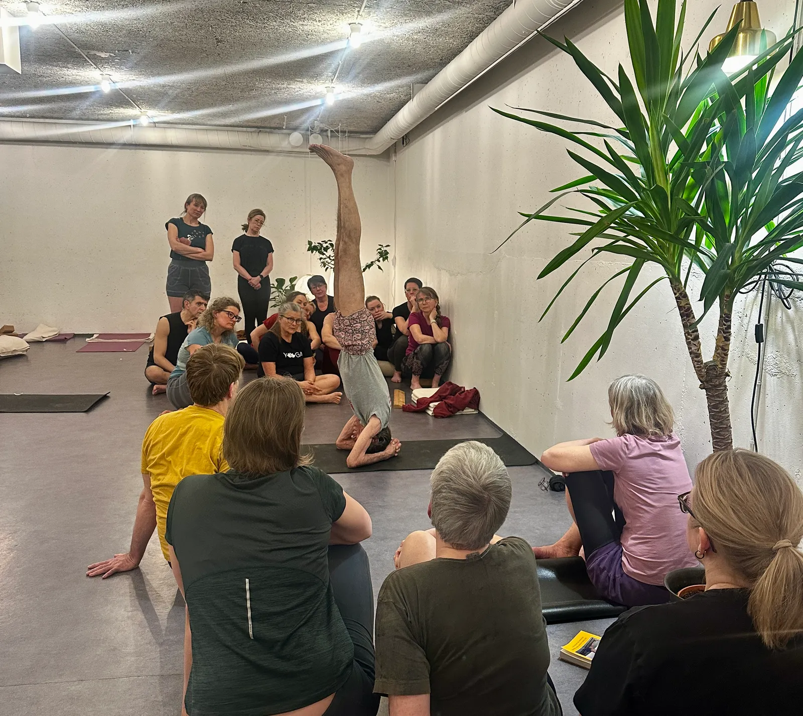 IYFSE — yoga-studio i Norrfjärden — 2