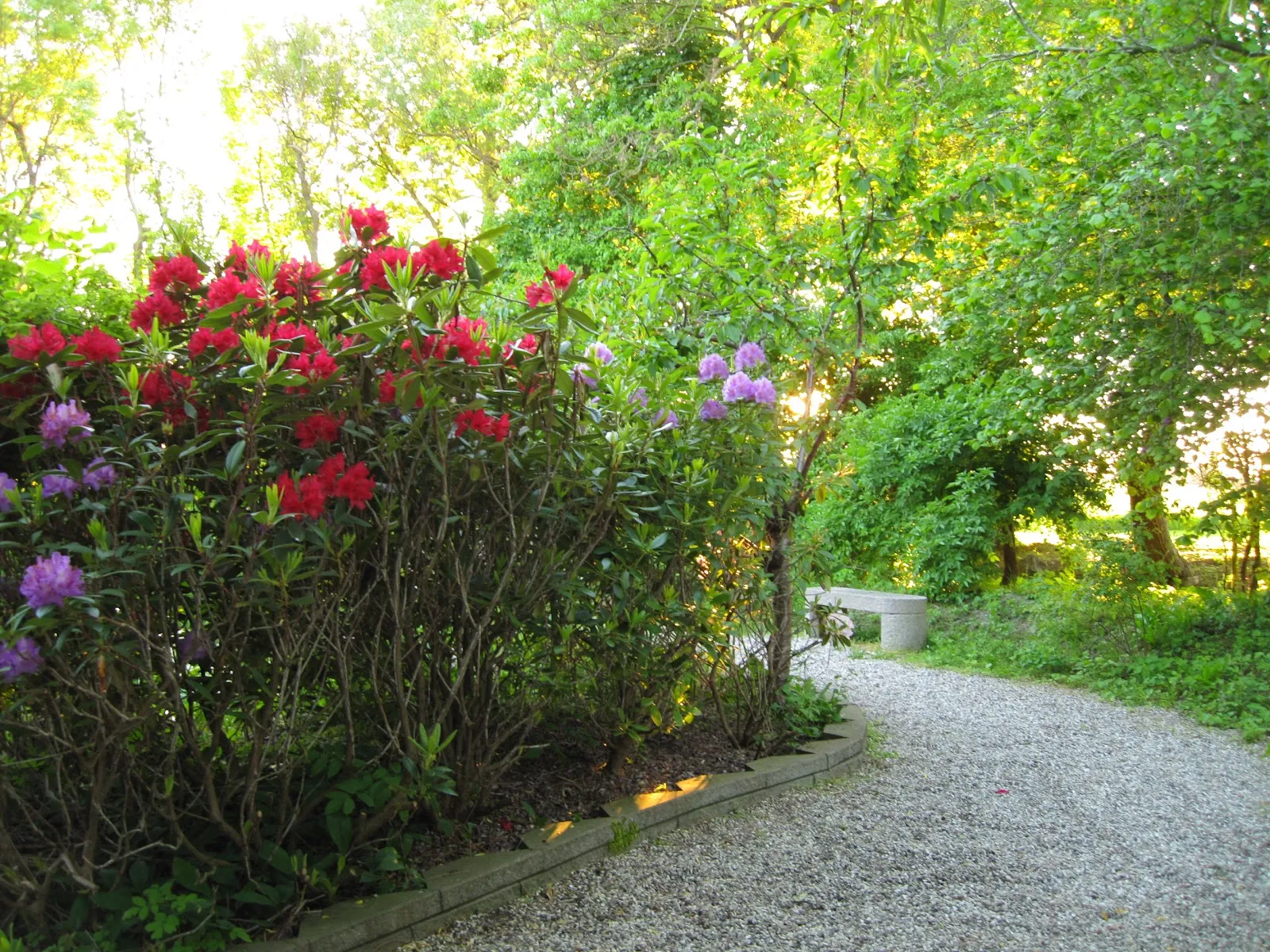 Paradise Retreat Center - Paradis Vækstcenter — meditation-studio i Store Torøje — 2