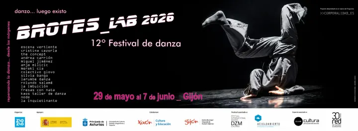 Zig Zag Danza — baile-studio en Pumarín, Gijón — 2