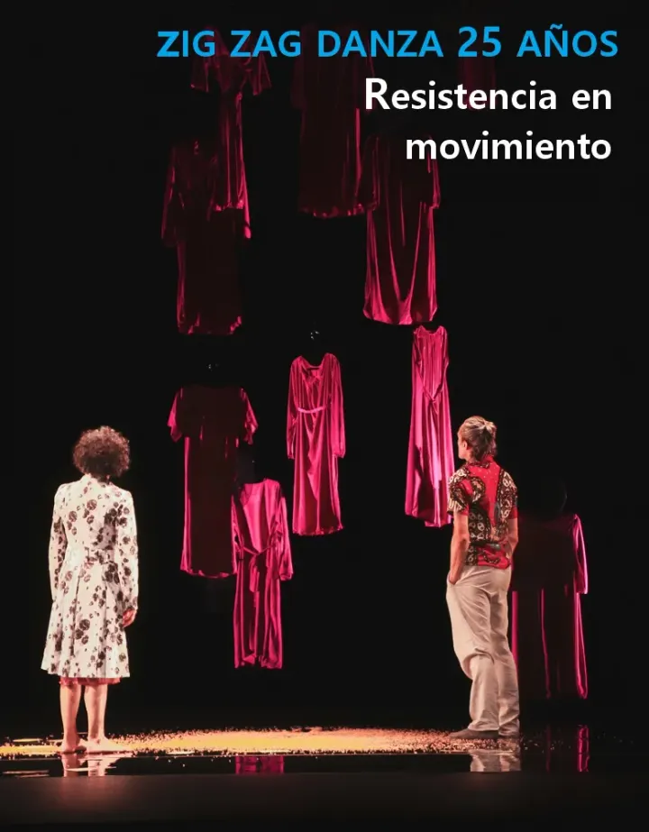 Zig Zag Danza — baile-studio en Gijón — 3