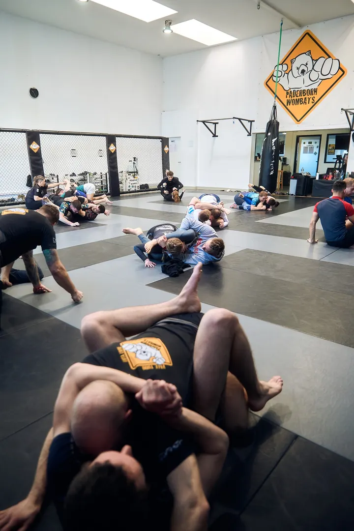 Paderborn Wombats — mma-studio in Paderborn — 3