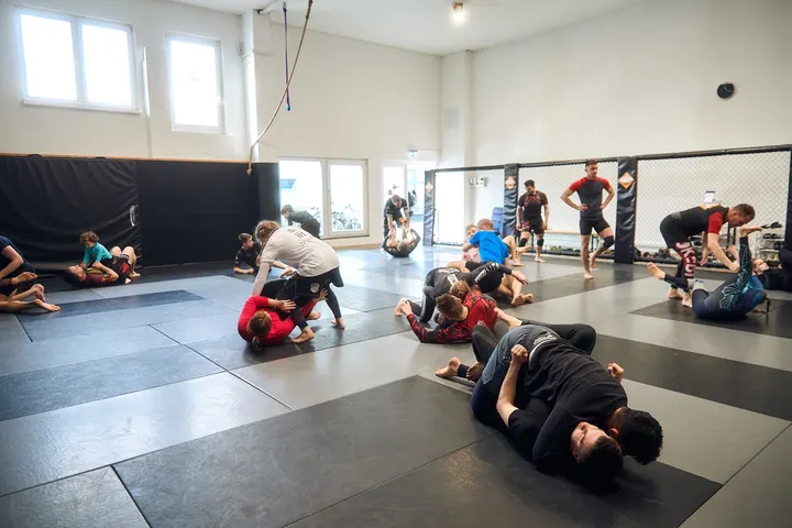 Paderborn Wombats — MMA in Paderborn, Paderborn