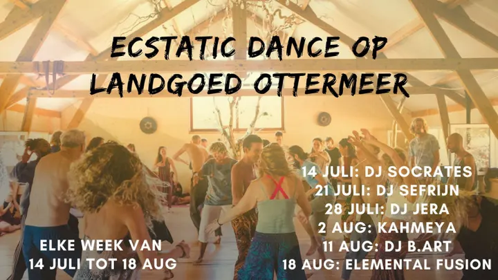 Ecstatic Dance Zutphen — dans-studio in Zutphen — 4