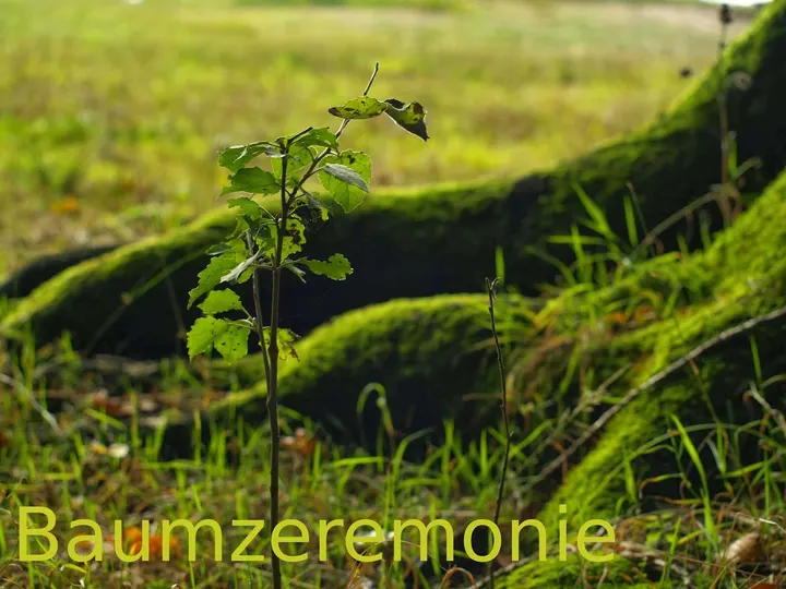 YogaRaum Gummersbach — yoga-studio in Berstig Nord, Gummersbach — 3
