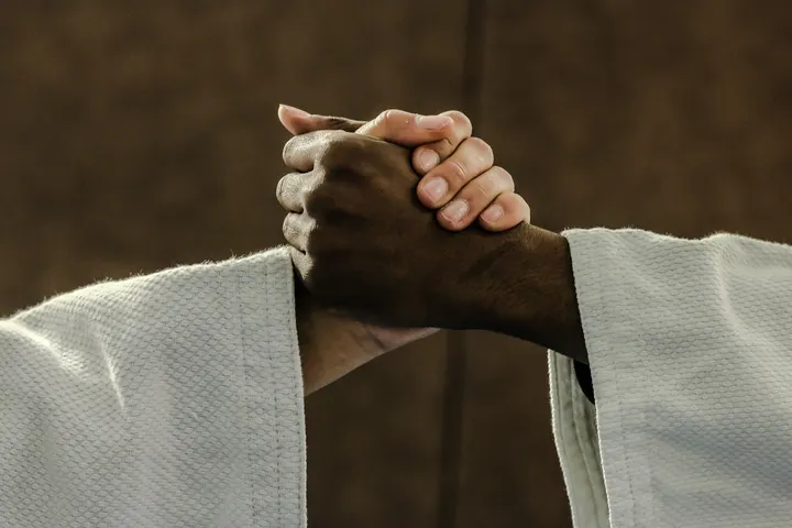 Nice Judo Alliance — arts martiaux-studio au Port, Nice — 2