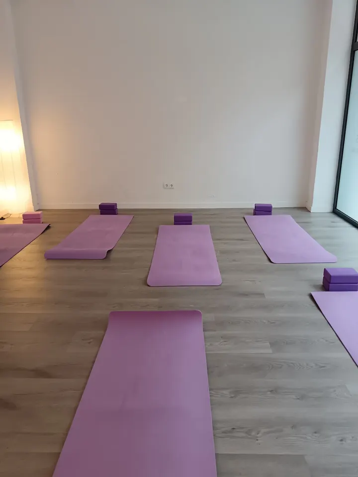 Tessa Robino Yoga-Pilates — yoga-studio en Gijón — 3
