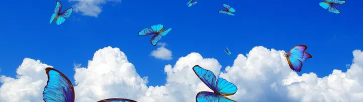 ButterflyWellness - Hälsocoachning och personlig Pilatesträning — pilates-studio i Östermalm, Stockholm