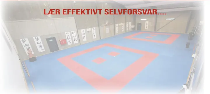 Silkeborg Karate Skole — kampsport-studio i Silkeborg — 2