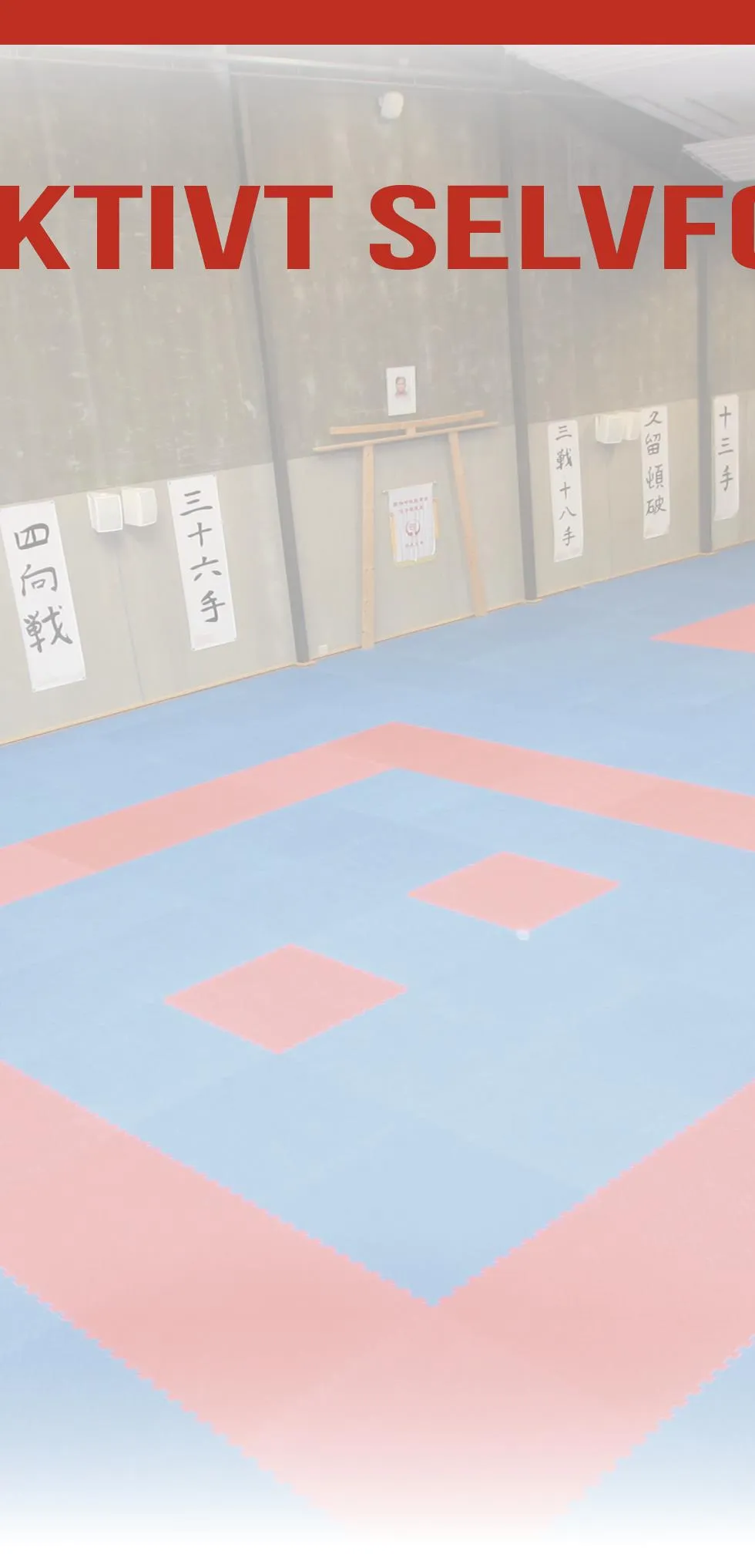 Silkeborg Karate Skole — kampsport-studio i Silkeborg — bild 2