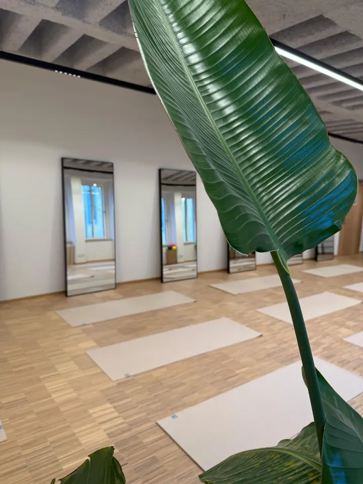SALUTE Würzburg — Pilates in Würzburg