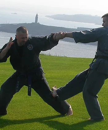 Escuela de Artes Marciales Garrapucho — artes marciales-studio en A Coruña — 2