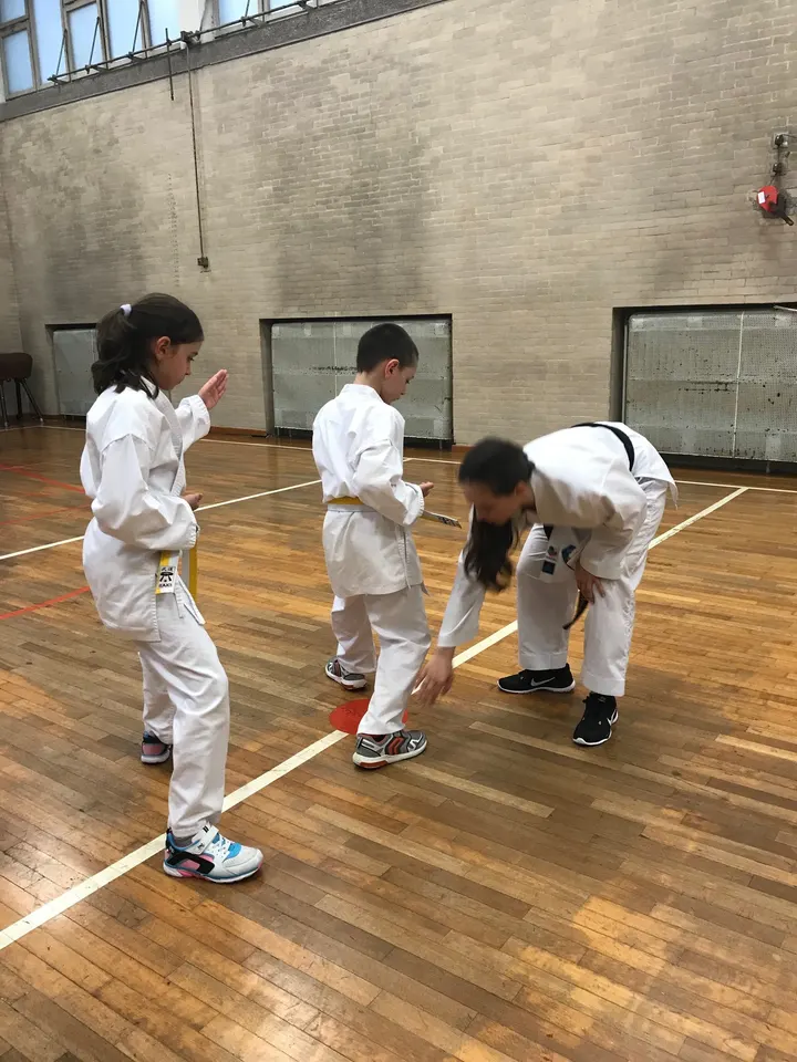 Asd karate aquila trieste — arti marziali-studio a Trieste — 3