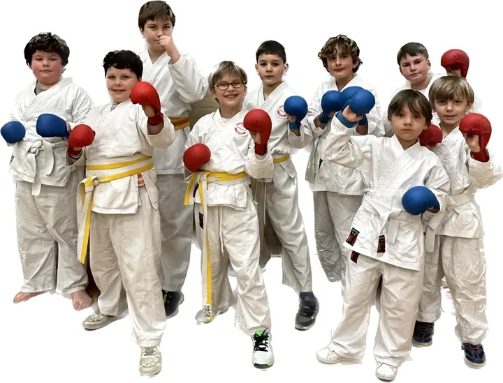 Asd karate aquila trieste — Arti marziali a Borgo Teresiano, Trieste