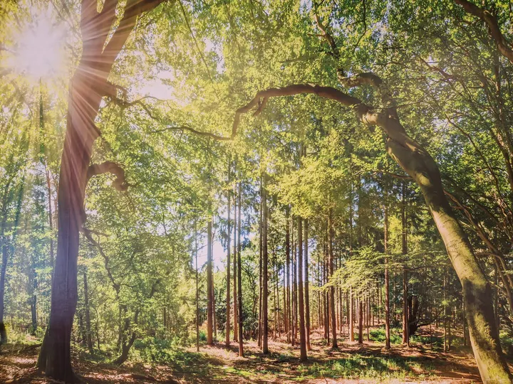 PranaUniverset — yoga-studio i Vestermark, Holstebro