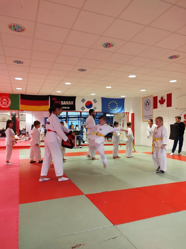 Taekwondo Schule Sahak — Kampfsport in Paderborn, Paderborn