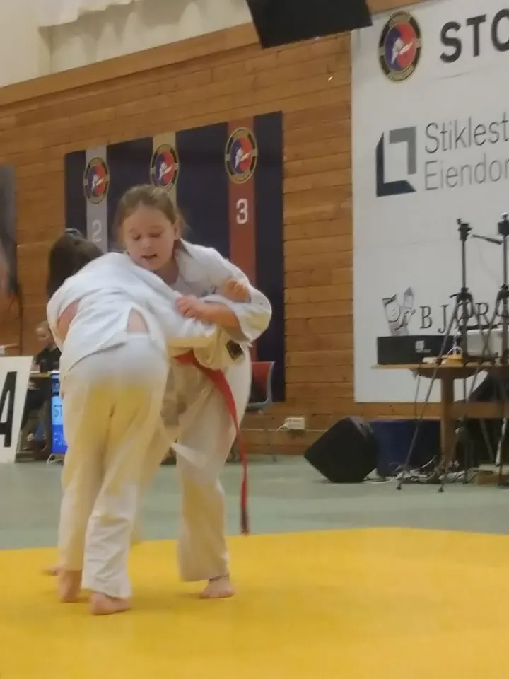 Levanger Judo og BJJ — kampsport-studio i Nedre Røstadlia, Levanger — 3