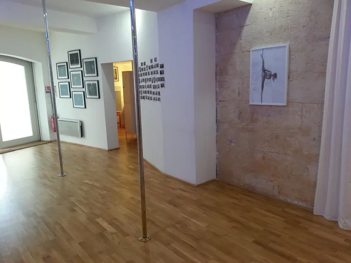 Electrick Pole Studio — pole fitness-studio à Bordeaux Centre, Bordeaux — 3