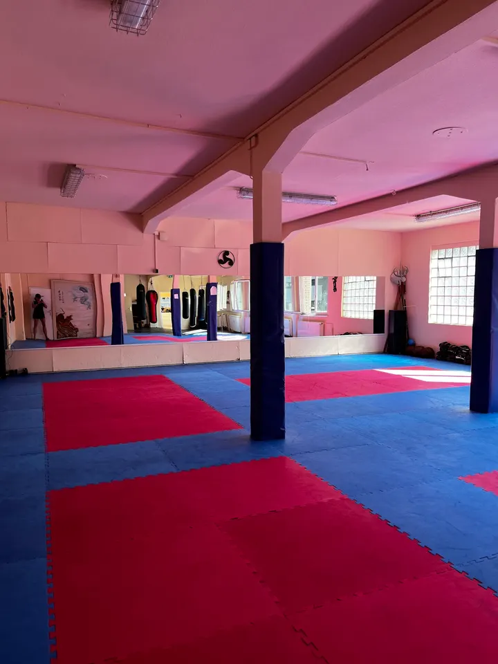 Soshin-Do Kai Kan - Kampfkunstschule — kampfsport-studio in Hannover — 4