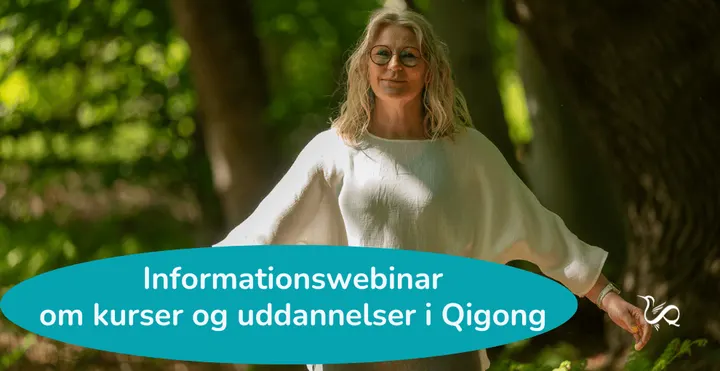 Vibeke Fraling - Qigong Academy — wellness-studio i Næsby, Odense — 2