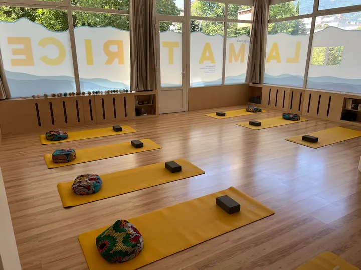 La Matrice — yoga-studio à Secteur 3, Grenoble — 2